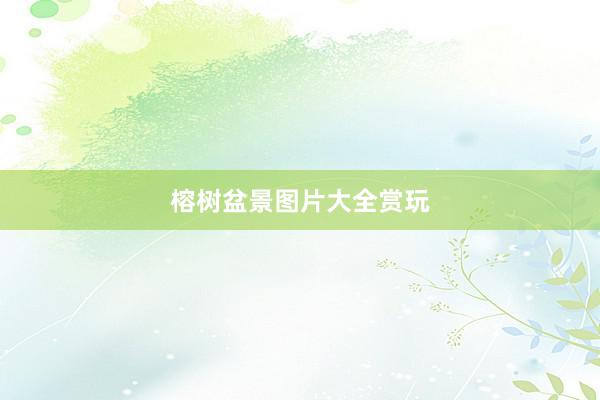 榕树盆景图片大全赏玩