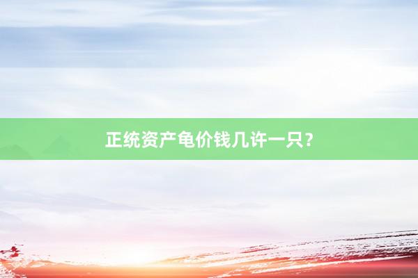 正统资产龟价钱几许一只？